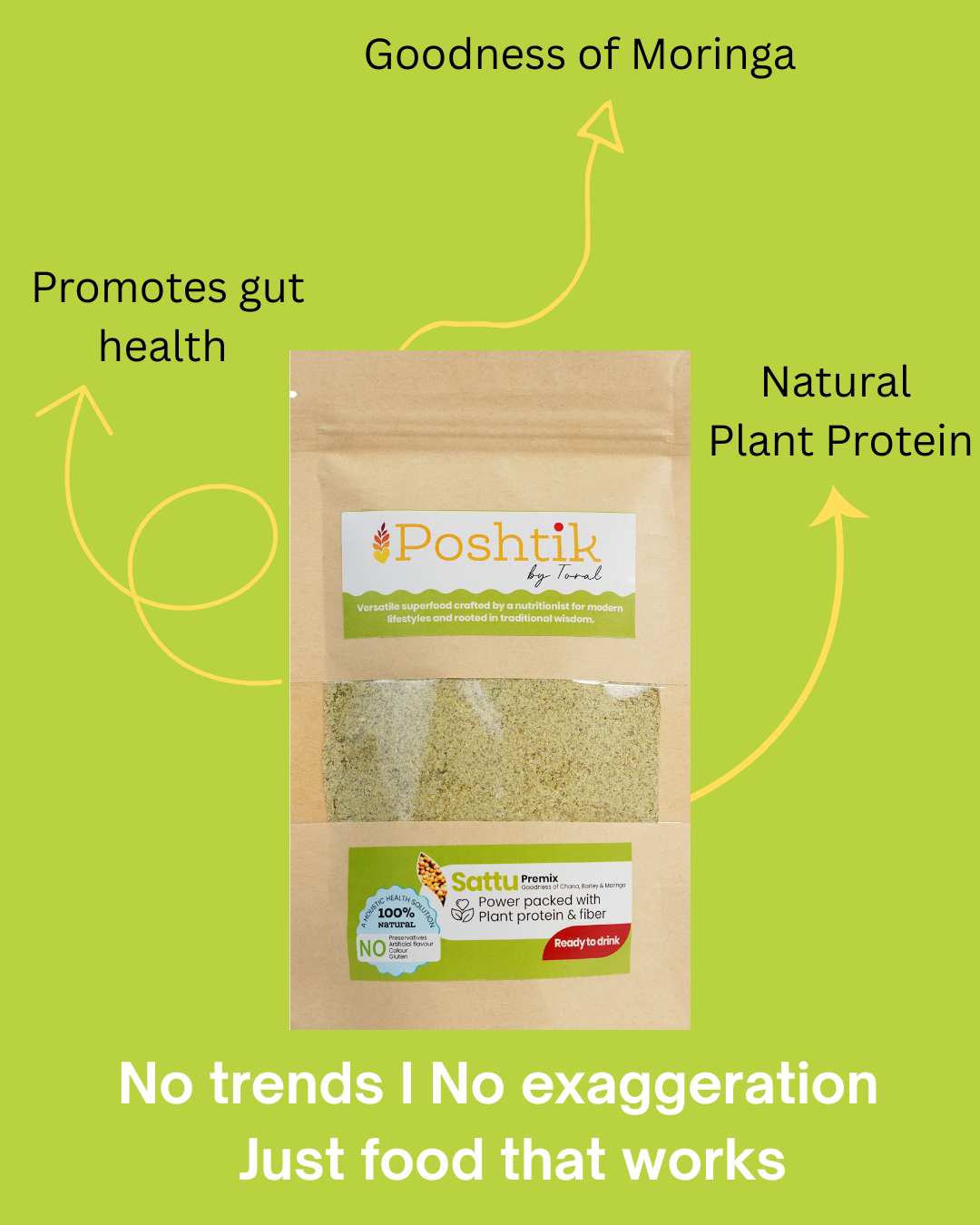 Sattu Powder Premix - Image 3